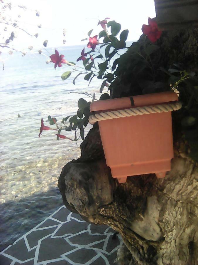 Agyrovoli Bungalow Skála Kallirákhis 外观 照片